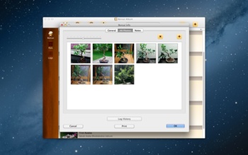 Bonsai Album Photo Organization