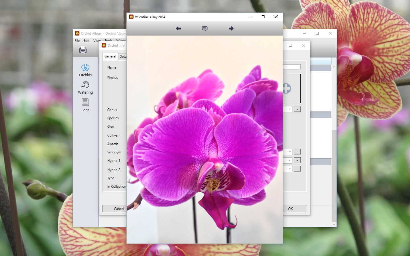 orchid album app