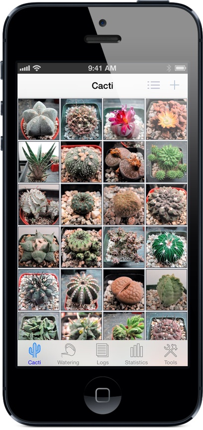 Cactus Album