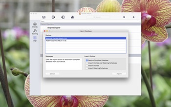 Orchid Album Import from Mobile Device